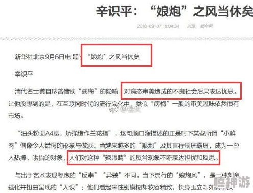 禁用黄台：分析这一措施对网络环境的影响及其背后的政策考量与公众反应