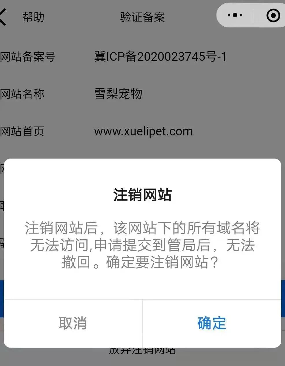 探讨使用过期域名建设网站的利弊与风险考量