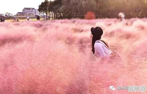 中国最大的薰衣草种植基地，探索花海中的自然魅力与悠久文化