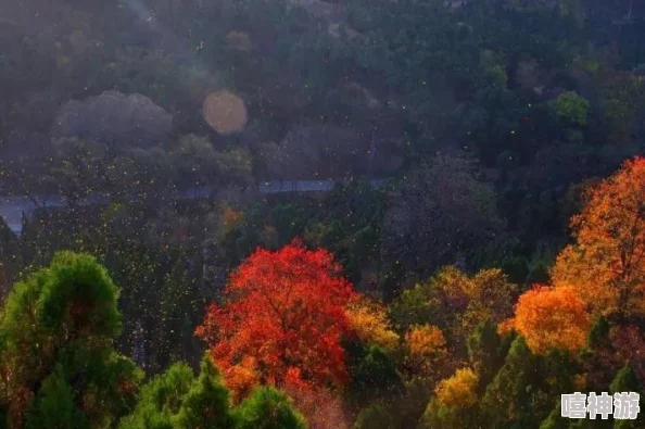 畅游湖南：不可错过的精彩旅游景点攻略