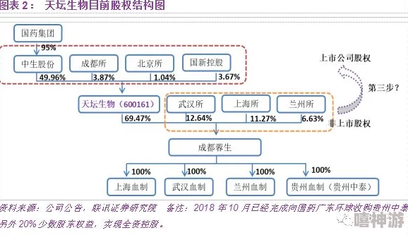 深度解析未来人生牧组织通关流程的全面介绍与策略探讨