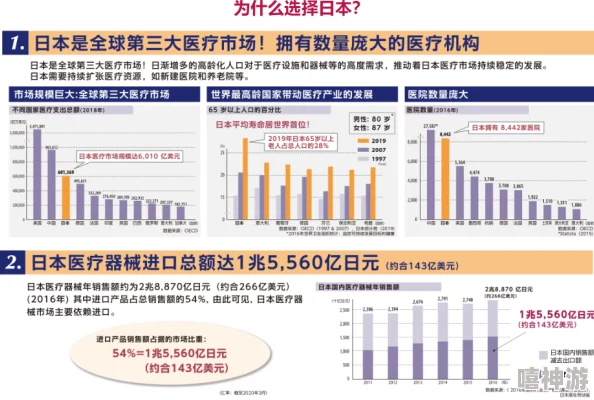 jagnexsmax在日本护士：2024年护理行业新趋势与挑战分析