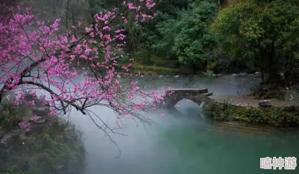 坤坤申到桃子里，带你领略桃花源的美丽与神秘，感受自然的魅力与人文的交融