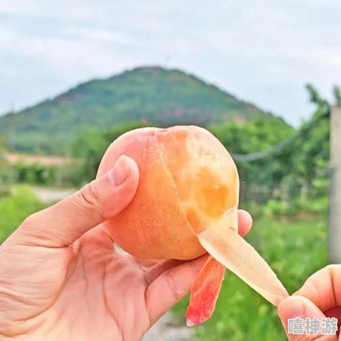 大坤坤戳桃子流牛奶，带你感受清新美味与乡村风情的完美结合，尽享自然的馈赠与诱惑