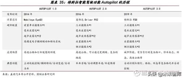 如鸢密探：深度选择解析与策略探究报告