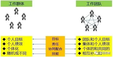 简的配队：基于多元化视角的团队协作与绩效提升研究及其应用实践分析