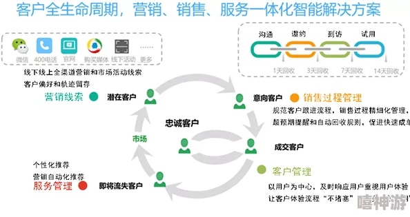 日本CRM软件：最新进展与市场动态分析，助力企业提升客户关系管理效率