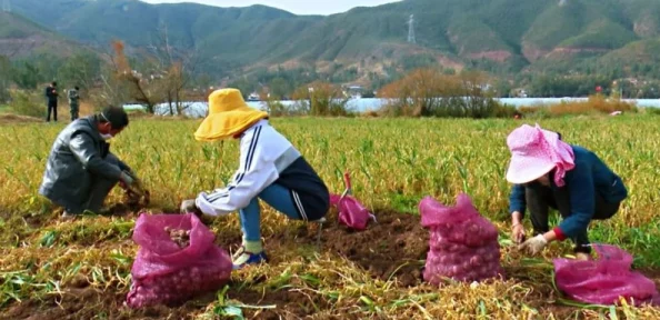 和审审在玉米地做努力耕耘收获希望每一份付出都值得期待