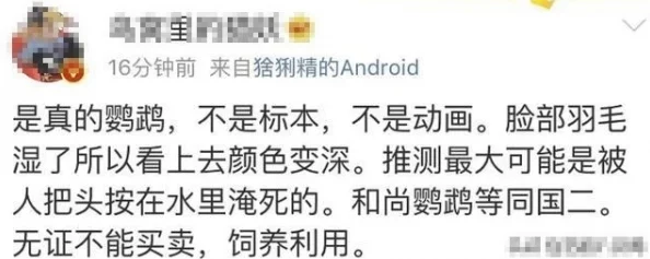 狼友AI视频网友称内容逼真效果惊艳